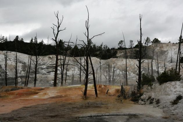 Yellowstone National Park - Mammoth Hot Springs, Angel Terrace Yellowstone National Park - Mammoth Hot Springs, Angel Terrace