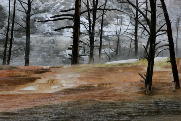 Yellowstone National Park - Mammoth Hot Springs, Angel Terrace Yellowstone National Park - Mammoth Hot Springs, Angel Terrace