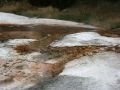 Yellowstone National Park - Mammoth Hot Springs, Cupid Spring