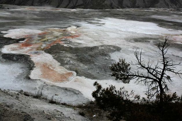 Yellowstone National Park - Mammoth Hot Springs, Cupid Spring Yellowstone National Park - Mammoth Hot Springs, Cupid Spring