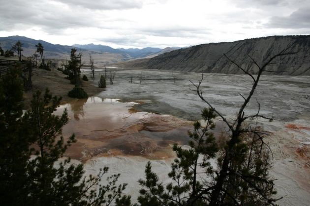 Yellowstone National Park - Mammoth Hot Springs, Upper Terraces Area Yellowstone National Park - Mammoth Hot Springs, Upper Terraces Area
