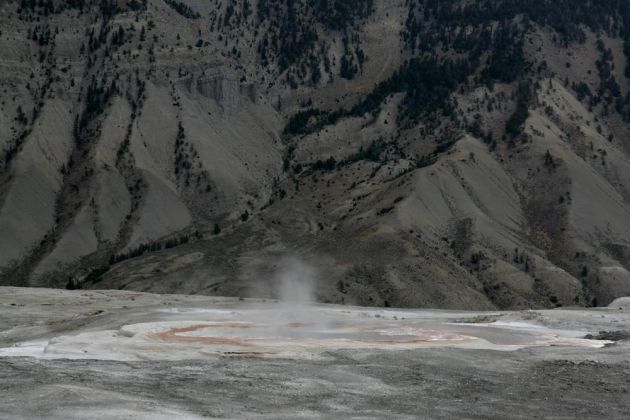 Yellowstone National Park - Mammoth Hot Springs, Upper Terraces Area Yellowstone National Park - Mammoth Hot Springs, Upper Terraces Area