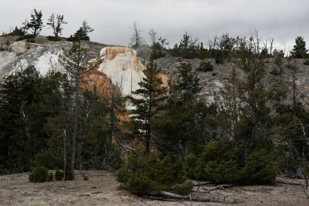 Yellowstone National Park - Mammoth Hot Springs, Upper Terraces Area Yellowstone National Park - Mammoth Hot Springs, Upper Terraces Area