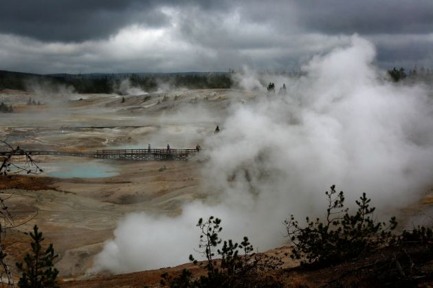 Yellowstone National Park - Norris Geyser Basin Yellowstone National Park - Norris Geyser Basin