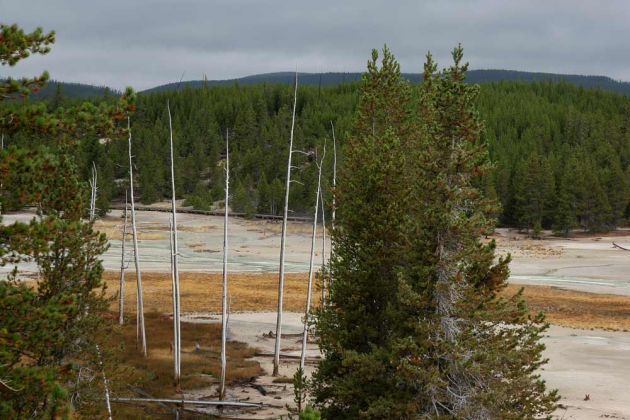 Norris Geyser Basin, Porcelain Terrace Overlook - Yellowstone National Park, Wyoming Norris Geyser Basin, Porcelain Terrace Overlook - Yellowstone National Park, Wyoming