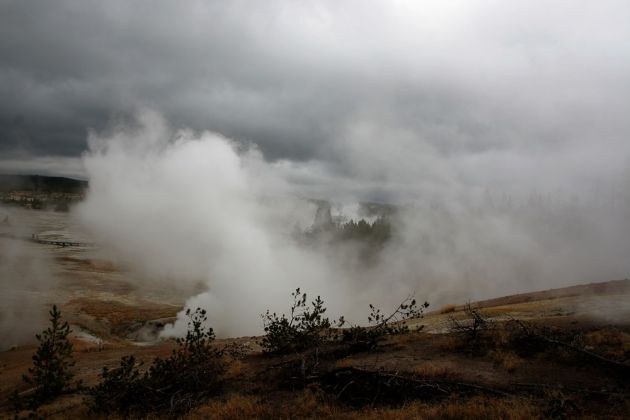 Yellowstone National Park - Norris Geyser Basin Yellowstone National Park - Norris Geyser Basin