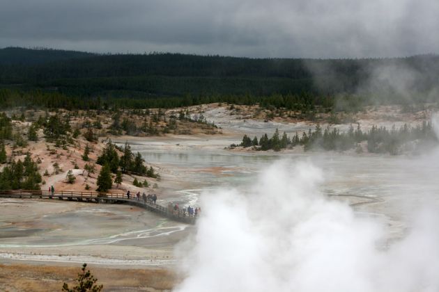 Norris Geyser Basin, Porcelain Terrace Overlook - Yellowstone National Park, Wyoming Norris Geyser Basin, Porcelain Terrace Overlook - Yellowstone National Park, Wyoming