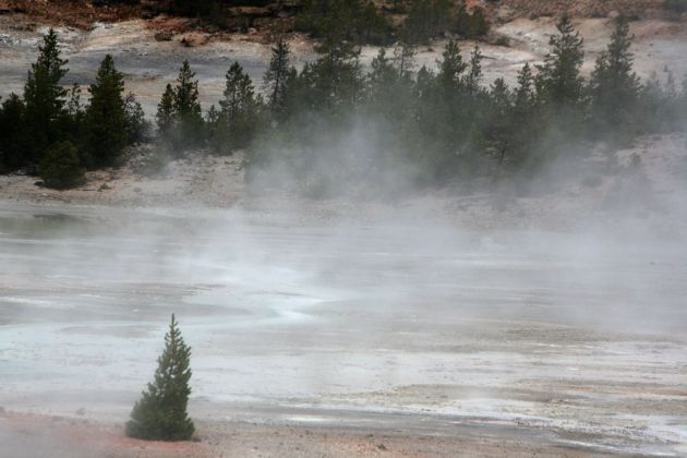 Norris Geyser Basin, Porcelain Terrace Overlook - Yellowstone National Park, Wyoming Norris Geyser Basin, Porcelain Terrace Overlook - Yellowstone National Park, Wyoming