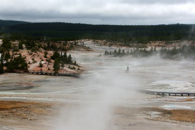 Norris Geyser Basin, Porcelain Terrace Overlook - Yellowstone National Park, Wyoming Norris Geyser Basin, Porcelain Terrace Overlook - Yellowstone National Park, Wyoming