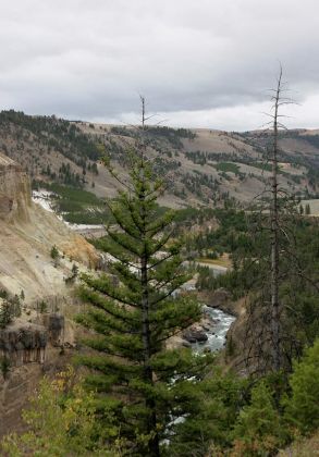 Yellowstone National Park - Grand Canyon of the Yellowstone