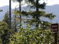 Am Kautz Creek Trail - Mount Rainier National Park