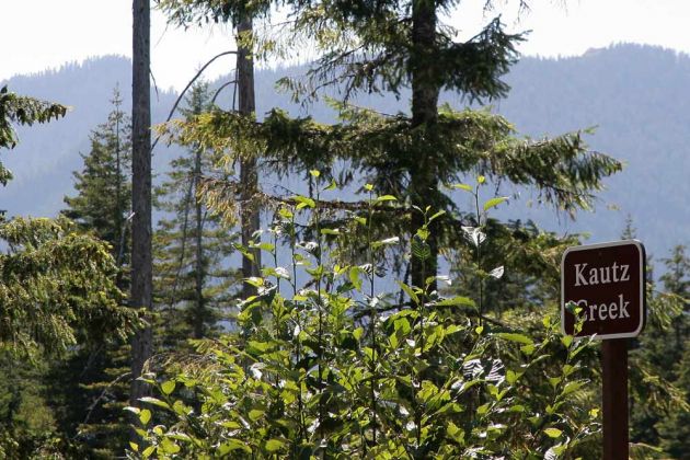 Am Kautz Creek Trail - Mount Rainier National Park Am Kautz Creek Trail - Mount Rainier National Park