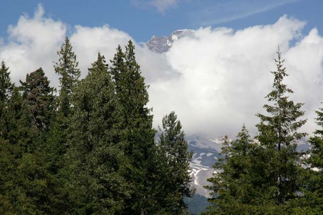 Mount Rainier - Gipfel in den Wolken - National Park Highway Mount Rainier - Gipfel in den Wolken - National Park Highway