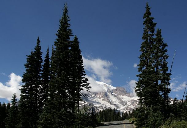 Mount Rainier National Park - auf dem National Park Highway Mount Rainier National Park - auf dem National Park Highway