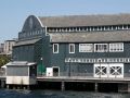 Seattle Aquarium - Waterfront, Pier 59