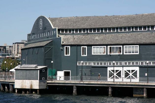 Seattle Aquarium - Waterfront, Pier 59 Seattle Aquarium - Waterfront, Pier 59