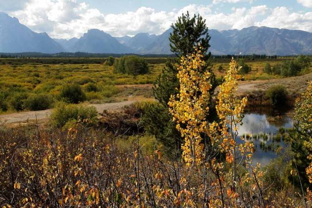 Grand Teton National Park - Wyoming Grand Teton National Park - Wyoming