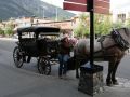 Banff Avenue, Downtown Banff - Rocky Mountains, Alberta