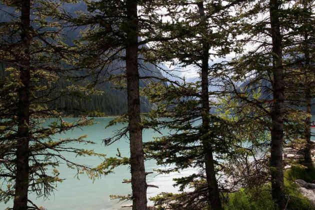 Lake Louise - Rocky Mountains in Alberta Lake Louise - Rocky Mountains in Alberta