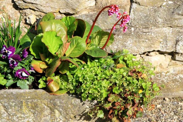 Wülfinghausen - das Kloster mit dem Klostergut. Wülfinghausen - das Kloster mit dem Klostergut.