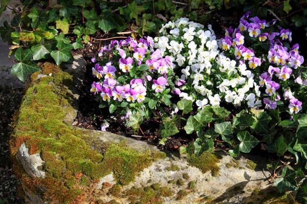 Wülfinghausen - das Kloster mit dem Klostergut. Wülfinghausen - das Kloster mit dem Klostergut.