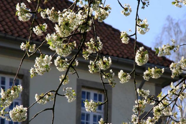 Wülfinghausen - das Kloster mit dem Klostergut. Wülfinghausen - das Kloster mit dem Klostergut.
