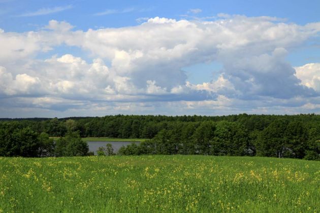Blick zum See - Jezioro Ułówki bei Stare Juchy