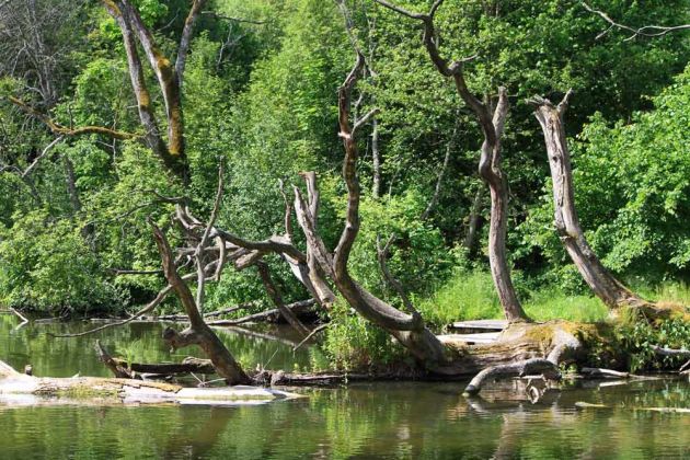 Krutyn-Krutinnen - eine Kahnfahrt auf der Krutynia Krutyn-Krutinnen - eine Kahnfahrt auf der Krutynia