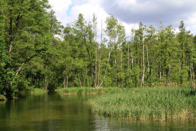Krutyn-Krutinnen - eine Kahnfahrt auf der Krutynia Krutyn-Krutinnen - eine Kahnfahrt auf der Krutynia