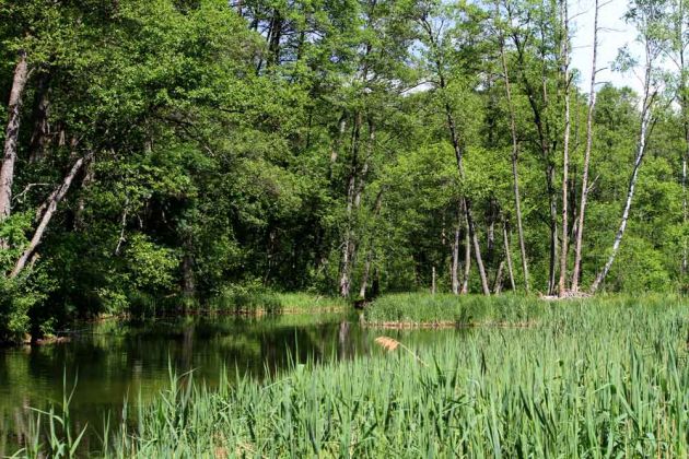 Krutyn-Krutinnen - eine Kahnfahrt auf der Krutynia Krutyn-Krutinnen - eine Kahnfahrt auf der Krutynia