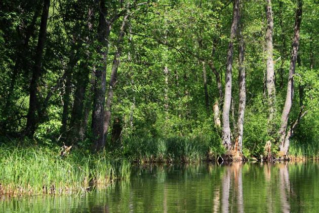 Krutyn-Krutinnen - eine Kahnfahrt auf der Krutynia Krutyn-Krutinnen - eine Kahnfahrt auf der Krutynia