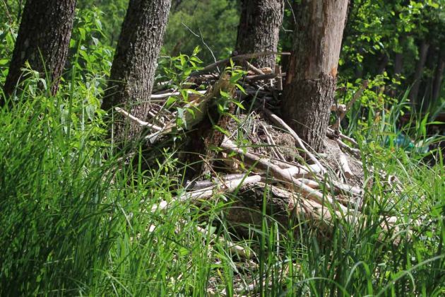 Krutyn-Krutinnen - eine Kahnfahrt auf der Krutynia Krutyn-Krutinnen - eine Kahnfahrt auf der Krutynia