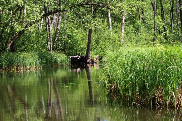Krutyn-Krutinnen - eine Kahnfahrt auf der Krutynia Krutyn-Krutinnen - eine Kahnfahrt auf der Krutynia