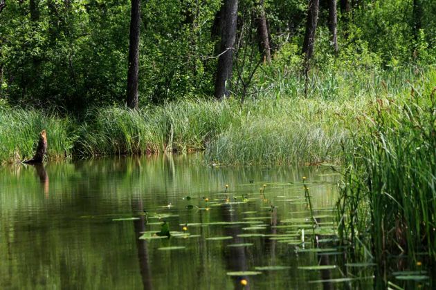 Krutyn-Krutinnen - eine Kahnfahrt auf der Krutynia Krutyn-Krutinnen - eine Kahnfahrt auf der Krutynia