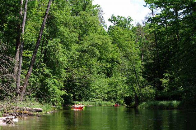 Krutyn-Krutinnen - eine Kahnfahrt auf der Krutynia Krutyn-Krutinnen - eine Kahnfahrt auf der Krutynia