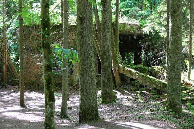 Die Wolfsschanze, ehemaliges Führerhauptquartier bei Rastenburg im früheren Ostpreussen Die Wolfsschanze, ehemaliges Führerhauptquartier bei Rastenburg im früheren Ostpreussen