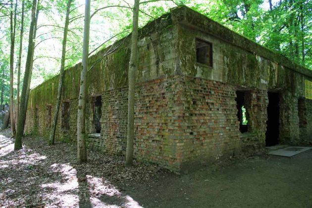 Die Wolfsschanze, ehemaliges Führerhauptquartier bei Rastenburg im früheren Ostpreussen Die Wolfsschanze, ehemaliges Führerhauptquartier bei Rastenburg im früheren Ostpreussen