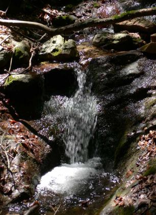 In der Rastenbachklamm zwischen Altenburg und St. Josef oberhalb des Kalterer Sees In der Rastenbachklamm zwischen Altenburg und St. Josef oberhalb des Kalterer Sees