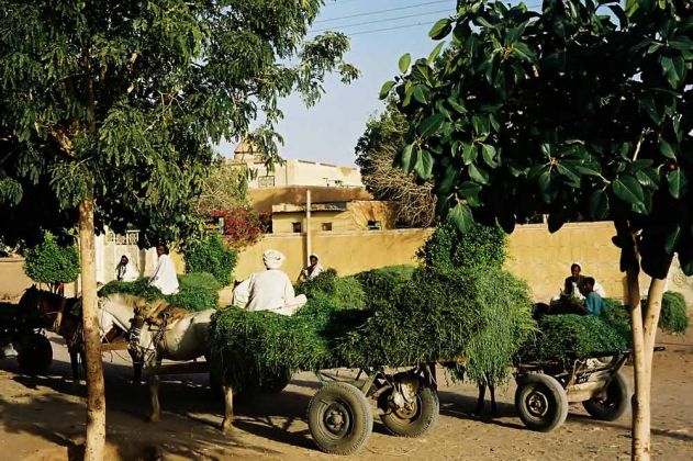 Sudan-Rundreise - Shendi Sudan-Rundreise - Shendi