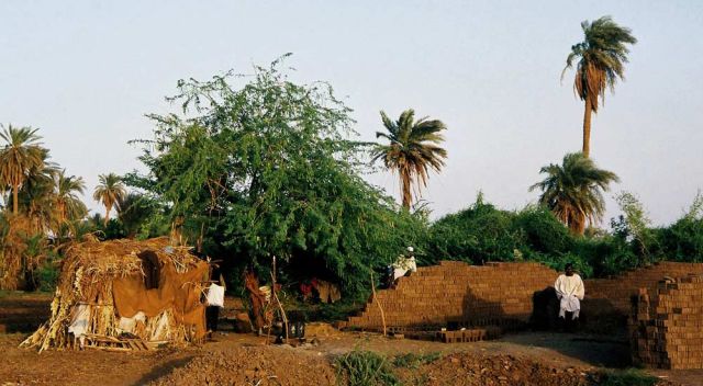 Sudan-Rundreise - Shendi, Ziegelei am Nilufer Sudan-Rundreise - Shendi, Ziegelei am Nilufer