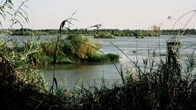 Sudan-Rundreise - Abu Hamed, Nilufer Sudan-Rundreise - Abu Hamed, Nilufer