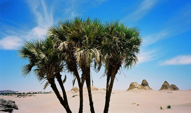 Sudan-Rundreise - die Pyramiden von Nuri Sudan-Rundreise - die Pyramiden von Nuri