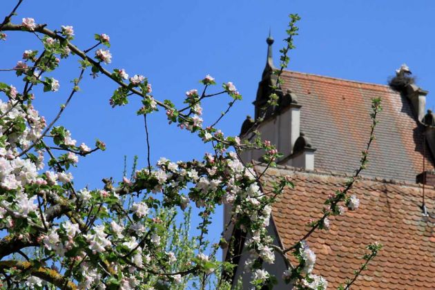 Dinkelsbühl - Nördlinger Tor Dinkelsbühl - Nördlinger Tor