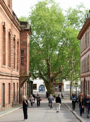 Straßburgs Innenstadt auf der Grande Île - die Rue de Rohan zum Place du Marché aux Poissons, dem Fischmarkt Straßburgs Innenstadt auf der Grande Île - die Rue de Rohan zum Place du Marché aux Poissons, dem Fischmarkt