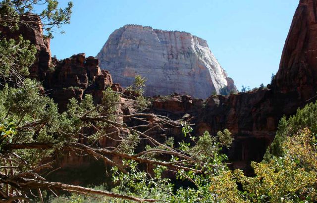 Riverside Walk Trail - Zion National Park, Utah Riverside Walk Trail - Zion National Park, Utah