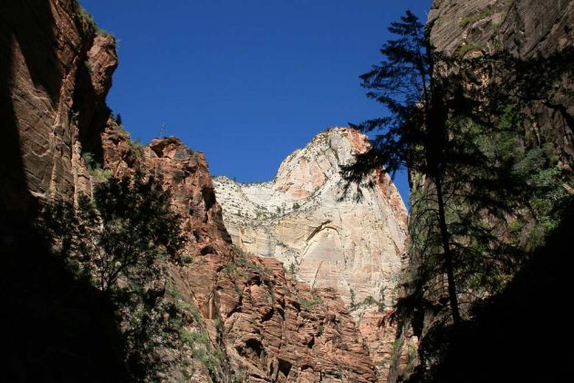 Riverside Walk Trail - Zion National Park, Utah Riverside Walk Trail - Zion National Park, Utah