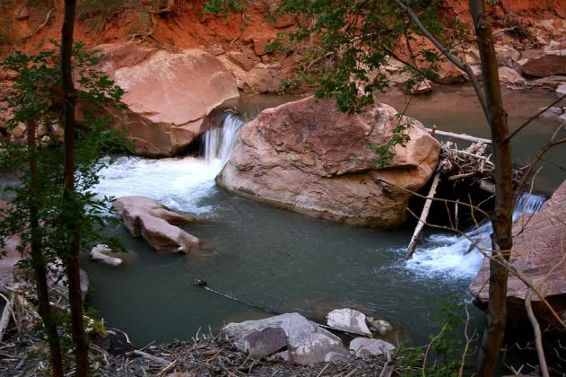 Riverside Walk Trail - Zion National Park, Utah Riverside Walk Trail - Zion National Park, Utah