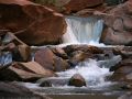 Riverside Walk Trail  - Zion National Park, Utah