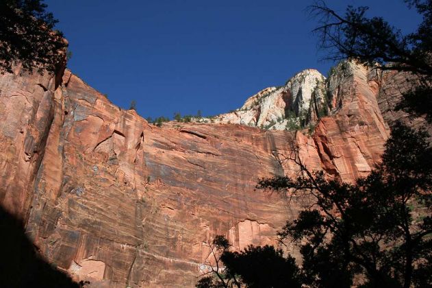 Riverside Walk Trail - Zion National Park, Utah Riverside Walk Trail - Zion National Park, Utah