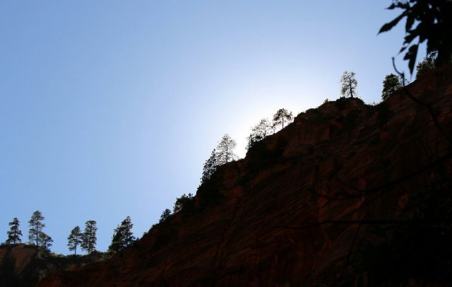 Riverside Walk Trail - Zion National Park, Utah Riverside Walk Trail - Zion National Park, Utah